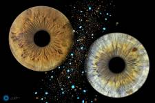 Jean-Luc GUILLEMIN - EURL JLG PHOTOREFLEX