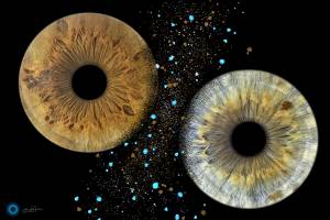 Jean-Luc GUILLEMIN - EURL JLG PHOTOREFLEX