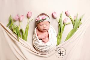 Celine HAMEL - SLIN PHOTO CELINE HAMEL